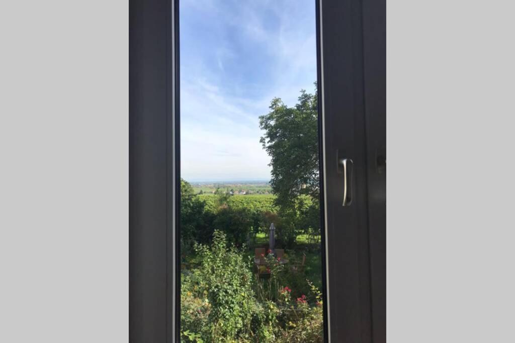 Wunderschoene Wohnung Mit Blick Auf Die Weinberge Neustadt an der Weinstraße Buitenkant foto